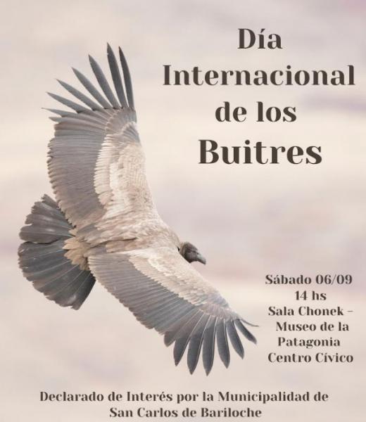 Día internacional de los buitres 2025 - 6 de septiembre