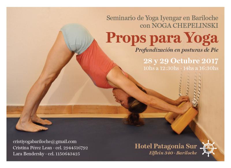 Seminario Iyengar Bariloche: PROPS PARA YOGA