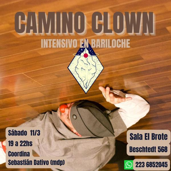 Camino Clown
