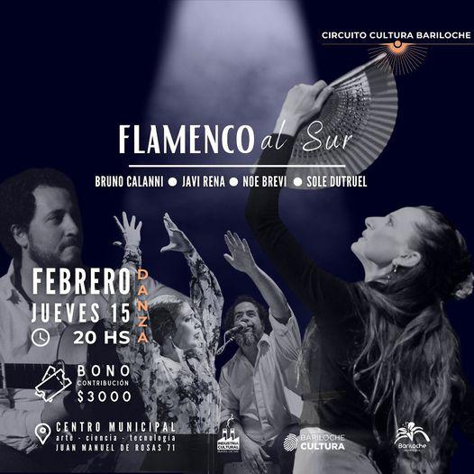 Flamenco al Sur