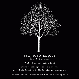 PROYECTO BOSQUE