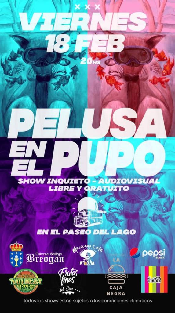 Pelusa en el Pupo