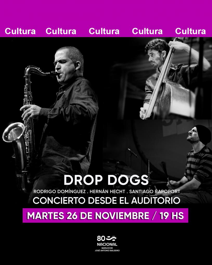 Concierto desde el Auditorio: Drop Dogs