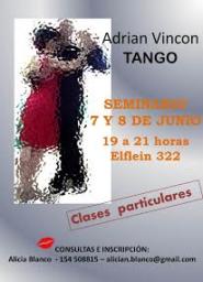 SEMINARIO TANGO SALON - ADRIAN VINCON - BARILOCHE 2014