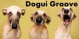 Dogui Groove &iexcl;en patanuk!