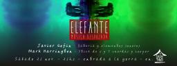 ELEFANTE - m&uacute;sica despojada