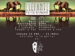  ELEFANTE - M&uacute;sica Despojada - 