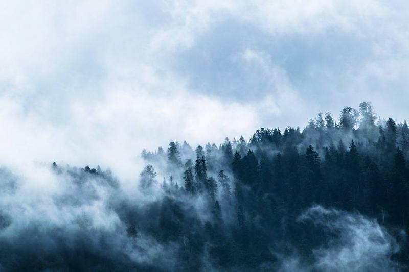 Seminario 'Modelando procesos contagiosos en paisajes reales y virtuales de la Patagonia'