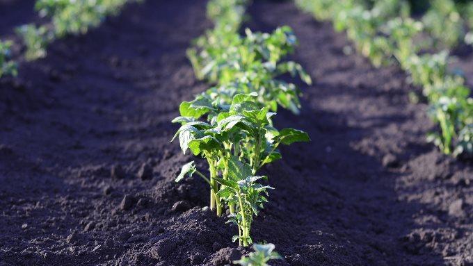 Charla sobre agroecolog&iacute;a y econom&iacute;a ecol&oacute;gica en la UNRN