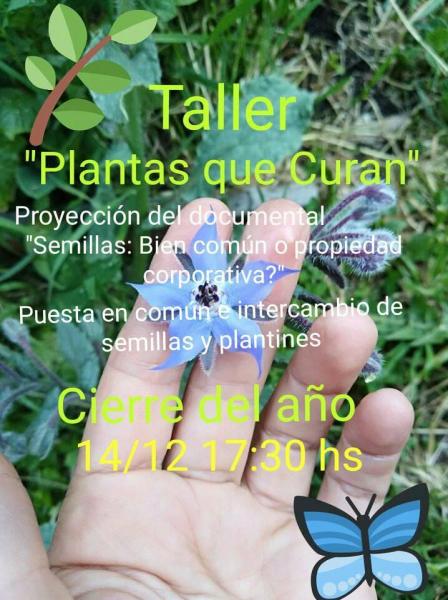 Cierre del a&ntilde;o con el taller 'Plantas que curan'