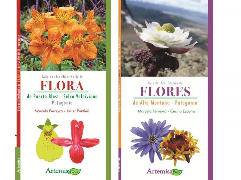 Presentan dos libros sobre flores patag&oacute;nicas