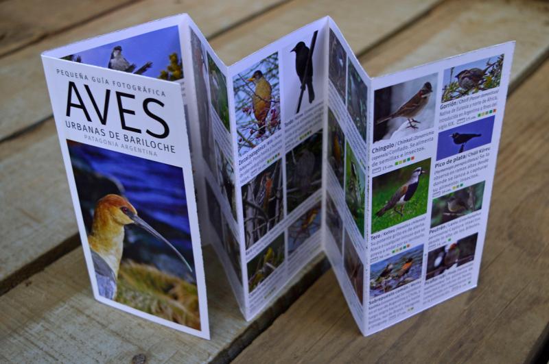 Presentaci&oacute;n de la Gu&iacute;a de Aves Urbanas de bariloche