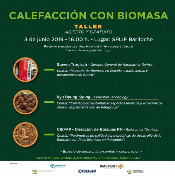 Taller de calefacci&oacute;n con biomasa