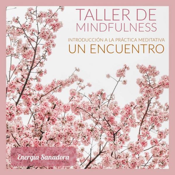 Introducci&oacute;n a mindfulness