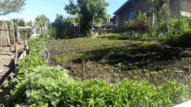 Comienza un taller virtual de huerta agroecol&oacute;gica