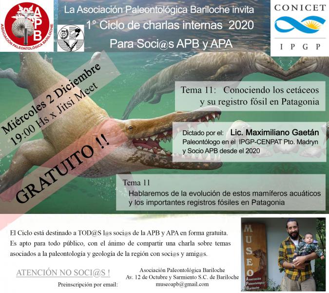 Charla APB Evoluci&oacute;n de Mam&iacute;feros Marinos