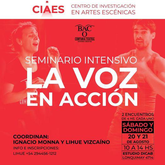  Seminario intensivo: La voz en acci&oacute;n. 