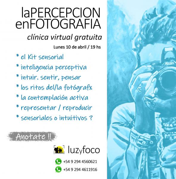 LA PERCEPCION EN FOTOGRAF&Iacute;A (Cl&iacute;nica Virtual)