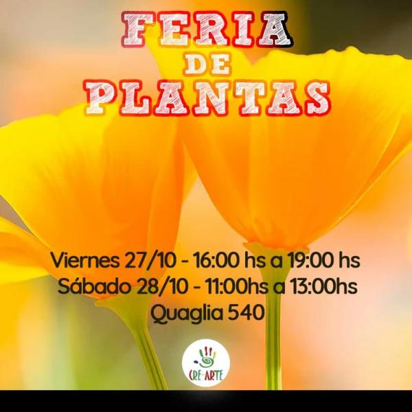  FERIA DE PLANTAS