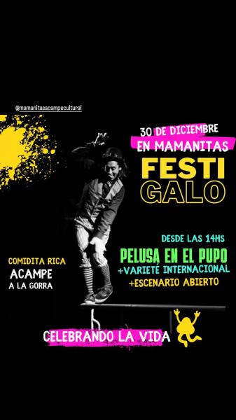 FESTI GALO