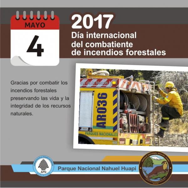 D&iacute;a Internacional del Combatiente de Incendios Forestales