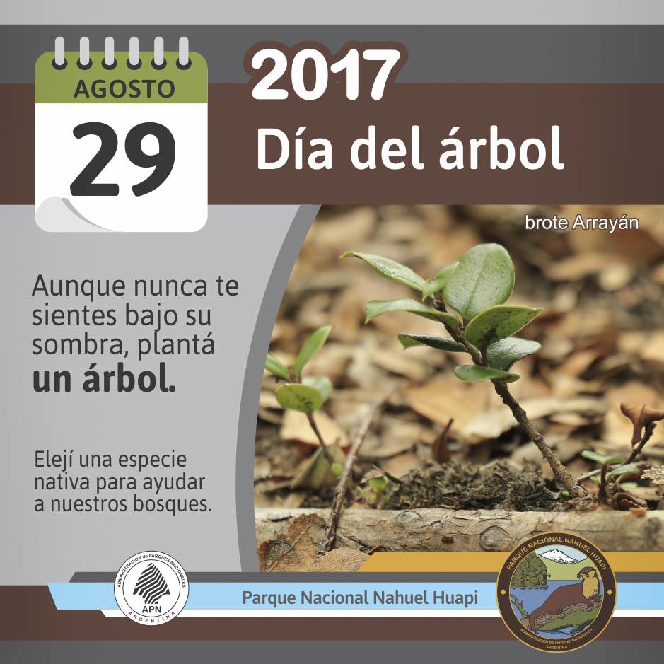 29 de agosto - D&iacute;a del &Aacute;rbol