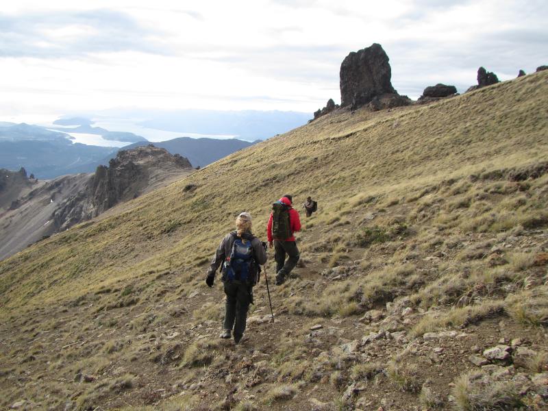 Exploraciones en b&uacute;squeda de un microendemismo de altura: el senecio del cerro Carb&oacute;n