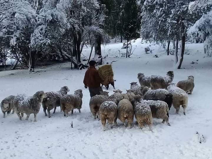 La Administraci&oacute;n de Parques Nacionales exime el pago de los derechos de cultivo y pastaje a pobladores de PN Nahuel Huapi, Lan&iacute;n, Lago Puelo y Los Alerces