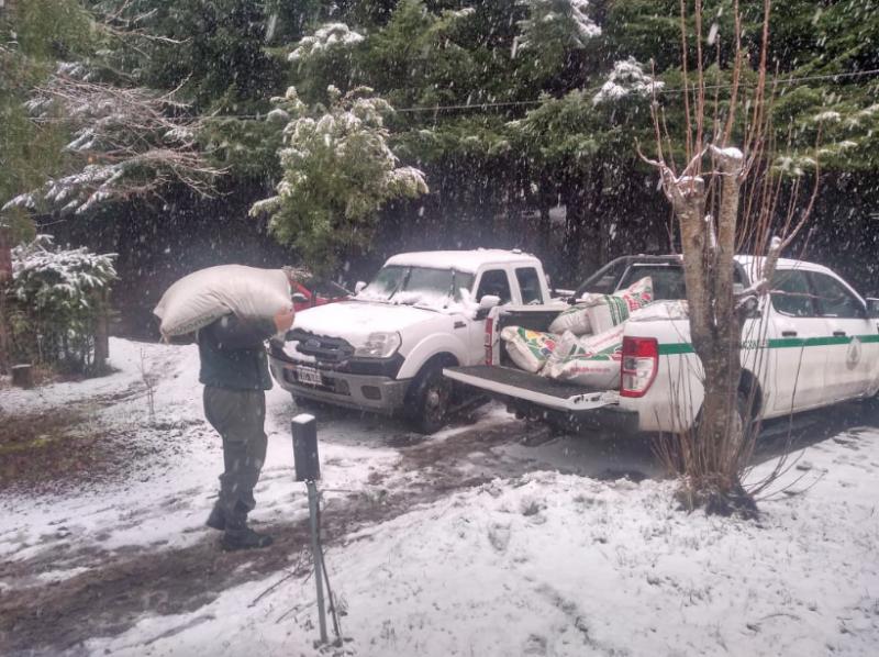 Trabajo conjunto entre el gobierno de la  Provincia de Neuqu&eacute;n, la Municipalidad de Villa la Angostura y el Parque Nacional Nahuel Huapi, para asistir a pobladores criollos y comunidades mapuche