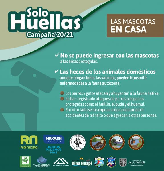 Campa&ntilde;a de prevenci&oacute;n Solo Huellas 20/21 Las mascotas deben quedar en casa