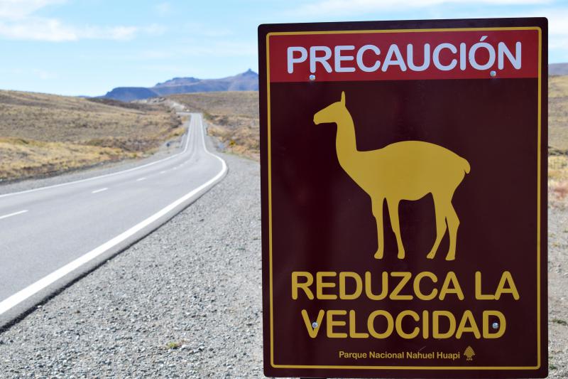 Nueva carteler&iacute;a en la zona del Anfiteatro para proteger y conocer al guanaco