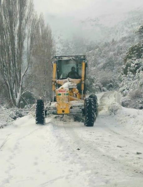 Corte preventivo en el camino a Cerro Tronador