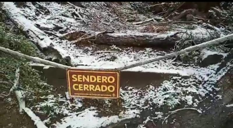 Ingreso al sendero de Bosque de Arrayanes en la Pen&iacute;nsula Quetrihu&eacute; cerrado hasta nuevo aviso