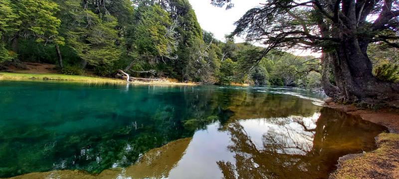 Nuevo registro para la pesca embarcada sin motor en el Manso Medio 