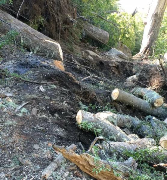 Se habilitan dos v&iacute;as de acceso a Refugio Frey