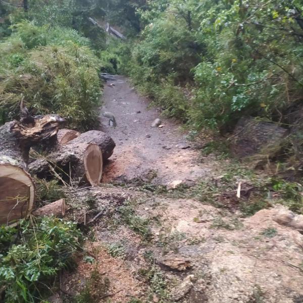 ☘️Apertura del sendero de Cascada los Duendes