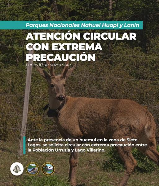 ‼️Circular con extrema precaución