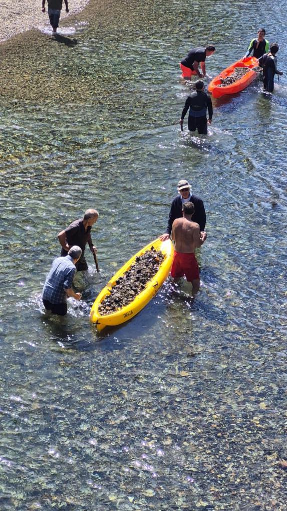 Mientras El Bols&oacute;n arde, en Bariloche se aprovecha la distracci&oacute;n para destruir un arroyo protegido por ley