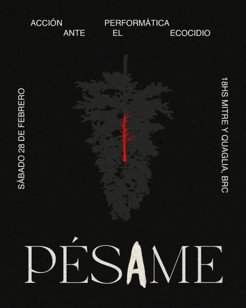 PERFORMANCE PÉSAME