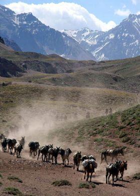 Menos visitantes en Aconcagua 