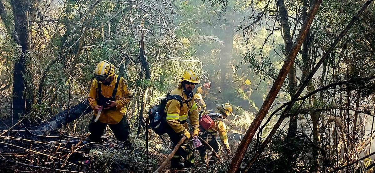 Restringen acceso a Cascada de los Alerces por el incendio, que afecta a 3.527 hect&aacute;reas