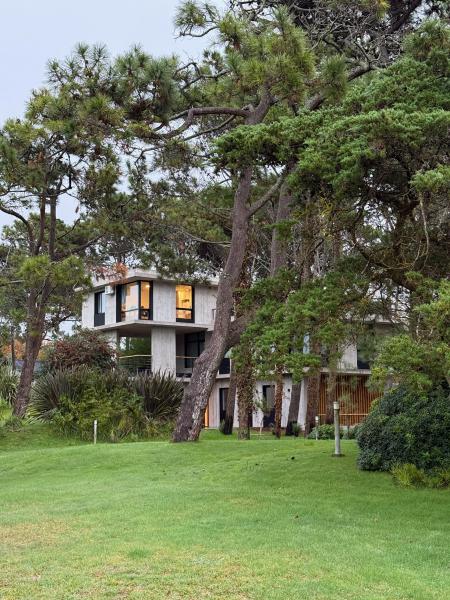 Cómo un bosque se convirtió en el mejor espacio de coworking