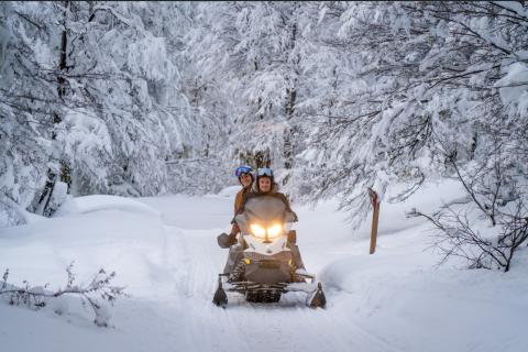 Motos de nieve