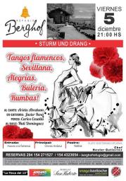 Sturm und Drang- Flamenco