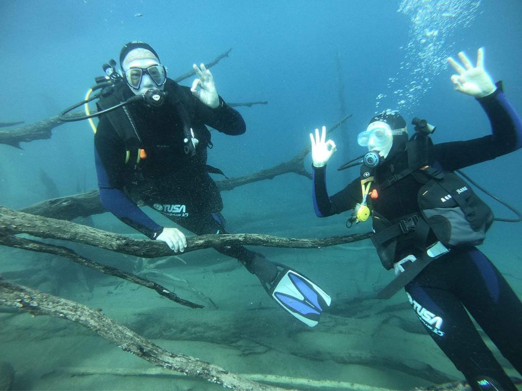 Cursos de Buceo para todos los Niveles 