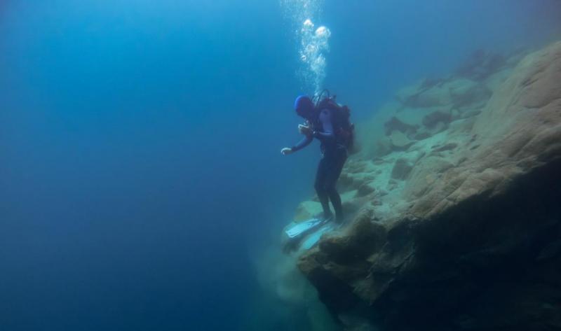 Buceo en los lagos del sur, precios Verano 2025