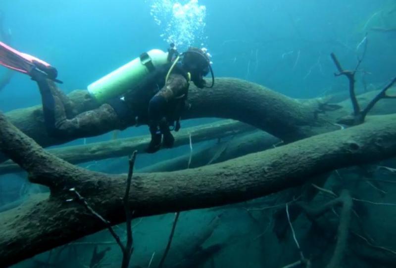 Bautismo de Buceo en los lagos del sur