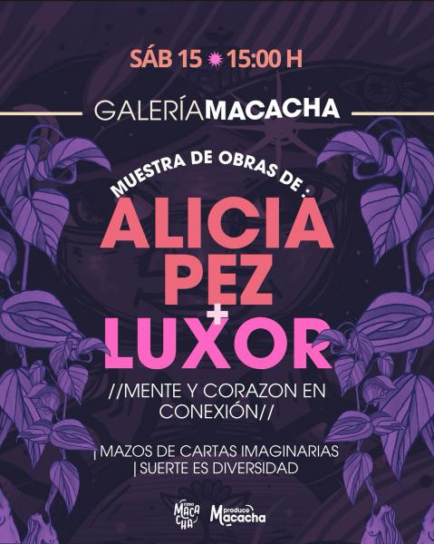 ¡Llega una nueva edición de Galería Macacha!