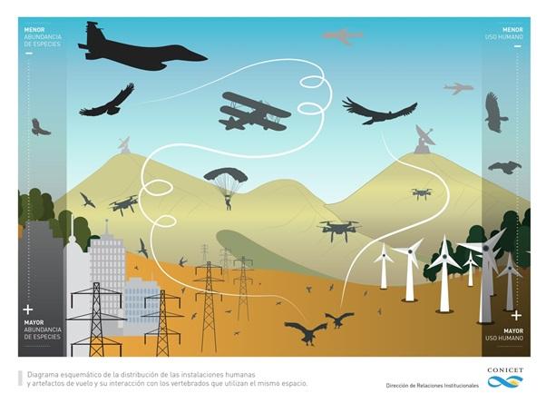 Seminario Ecotono Conflictos entre humanos y la vida silvestre en el uso del aire