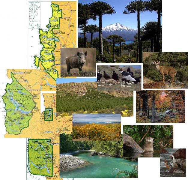 Seminario Ecotono: Los Parques Nacionales de Patagonia Norte: perspectivas y desaf&iacute;os